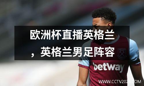 欧洲杯直播英格兰，英格兰男足阵容