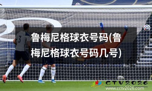 鲁梅尼格球衣号码(鲁梅尼格球衣号码几号)