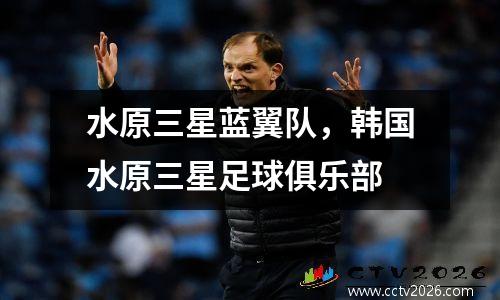 水原三星蓝翼队，韩国水原三星足球俱乐部