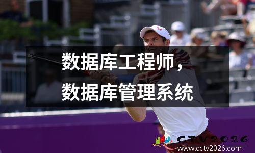数据库工程师，数据库管理系统