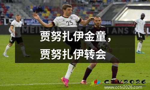 贾努扎伊金童，贾努扎伊转会