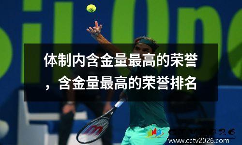 体制内含金量最高的荣誉，含金量最高的荣誉排名