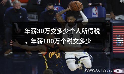 年薪30万交多少个人所得税，年薪100万个税交多少