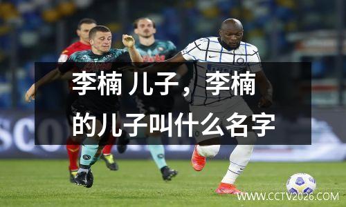 李楠 儿子，李楠的儿子叫什么名字