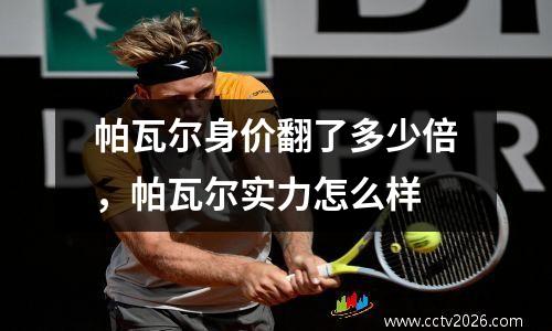 帕瓦尔身价翻了多少倍，帕瓦尔实力怎么样