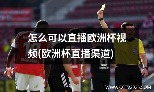 怎么可以直播欧洲杯视频(欧洲杯直播渠道)