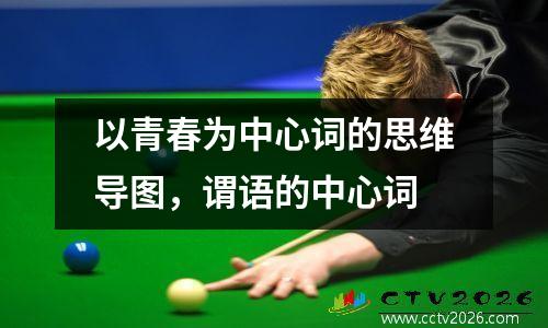 以青春为中心词的思维导图，谓语的中心词