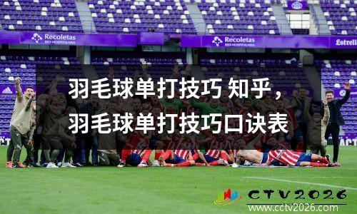 羽毛球单打技巧 知乎，羽毛球单打技巧口诀表