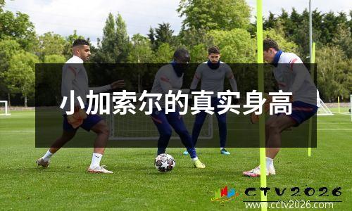 小加索尔的真实身高