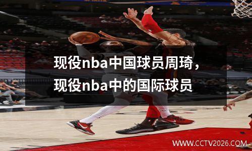 现役nba中国球员周琦，现役nba中的国际球员