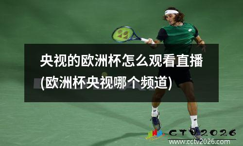央视的欧洲杯怎么观看直播(欧洲杯央视哪个频道)