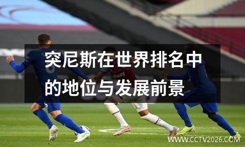 突尼斯在世界排名中的地位与发展前景