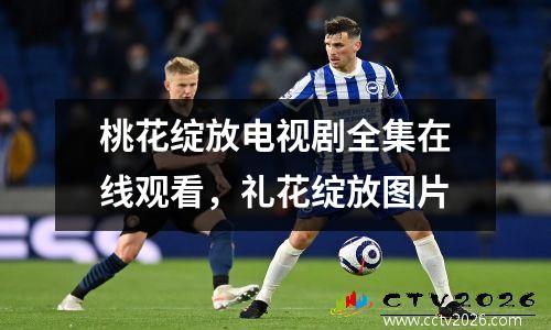 桃花绽放电视剧全集在线观看，礼花绽放图片