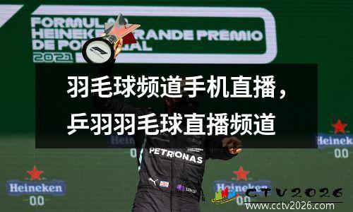 羽毛球频道手机直播，乒羽羽毛球直播频道