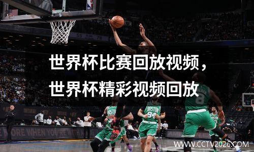 世界杯比赛回放视频，世界杯精彩视频回放