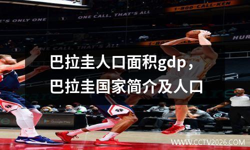 巴拉圭人口面积gdp，巴拉圭国家简介及人口