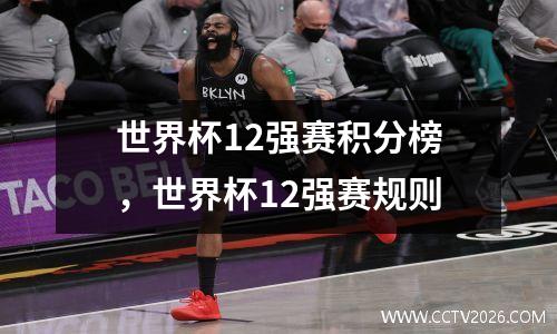 世界杯12强赛积分榜，世界杯12强赛规则