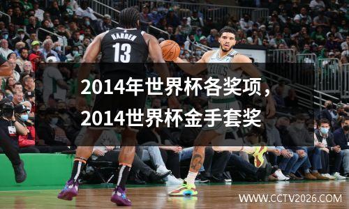 2014年世界杯各奖项，2014世界杯金手套奖