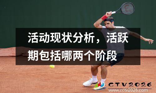 活动现状分析，活跃期包括哪两个阶段