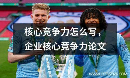 核心竞争力怎么写，企业核心竞争力论文