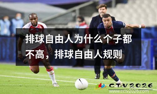 排球自由人为什么个子都不高，排球自由人规则