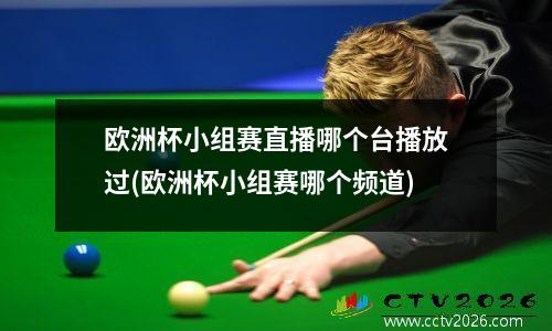 欧洲杯小组赛直播哪个台播放过(欧洲杯小组赛哪个频道)