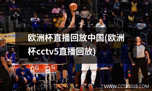 欧洲杯直播回放中国(欧洲杯cctv5直播回放)