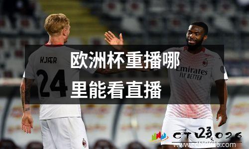 欧洲杯重播哪里能看直播