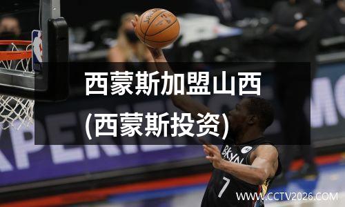 西蒙斯加盟山西(西蒙斯投资)