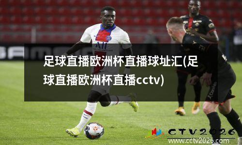 足球直播欧洲杯直播球址汇(足球直播欧洲杯直播cctv)