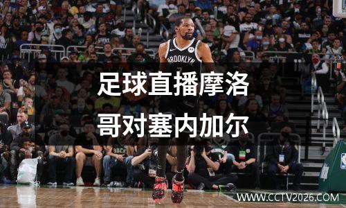 足球直播摩洛哥对塞内加尔