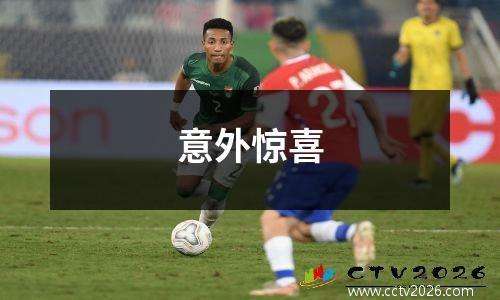 意外惊喜