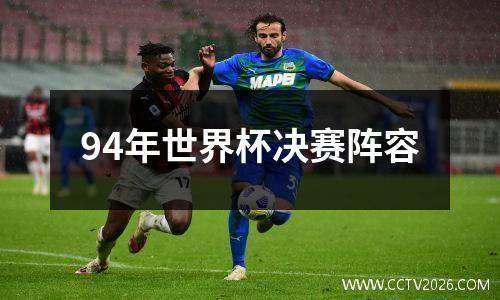94年世界杯决赛阵容