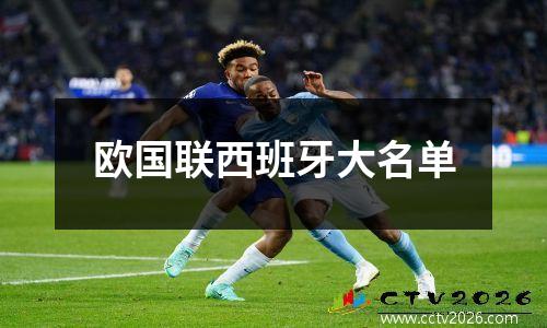 欧国联西班牙大名单