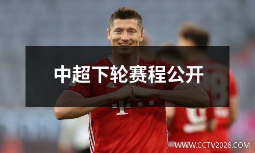 中超下轮赛程公开