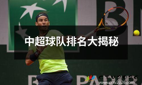 中超球队排名大揭秘