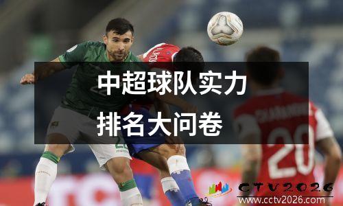 中超球队实力排名大问卷