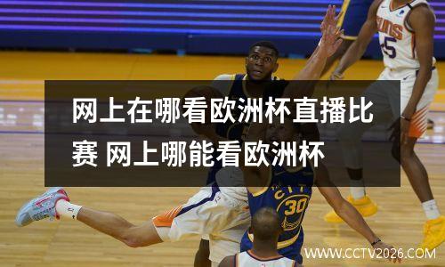 网上在哪看欧洲杯直播比赛 网上哪能看欧洲杯