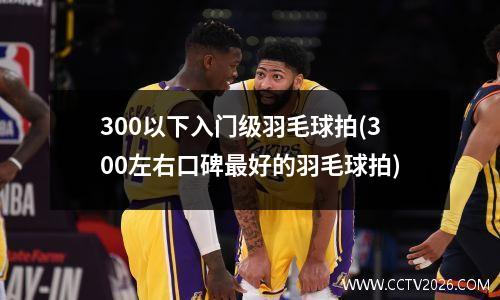 300以下入门级羽毛球拍(300左右口碑最好的羽毛球拍)