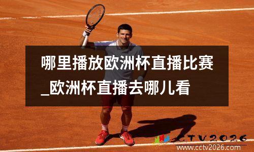 哪里播放欧洲杯直播比赛_欧洲杯直播去哪儿看