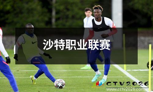 沙特职业联赛