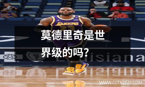 莫德里奇是世界级的吗？