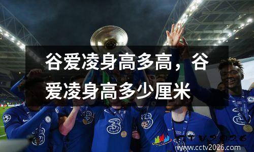 谷爱凌身高多高，谷爱凌身高多少厘米
