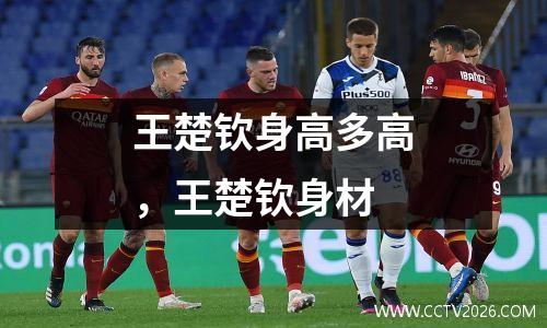 王楚钦身高多高，王楚钦身材