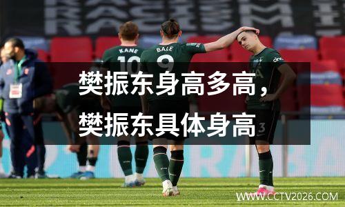 樊振东身高多高，樊振东具体身高