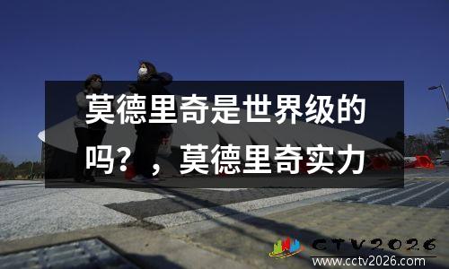 莫德里奇是世界级的吗？，莫德里奇实力