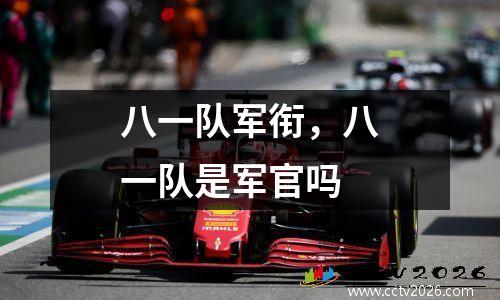 八一队军衔，八一队是军官吗