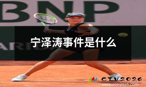 宁泽涛事件是什么