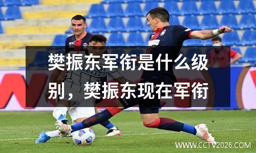 樊振东军衔是什么级别，樊振东现在军衔