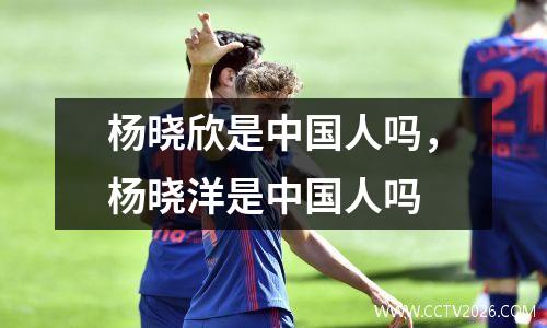 杨晓欣是中国人吗，杨晓洋是中国人吗